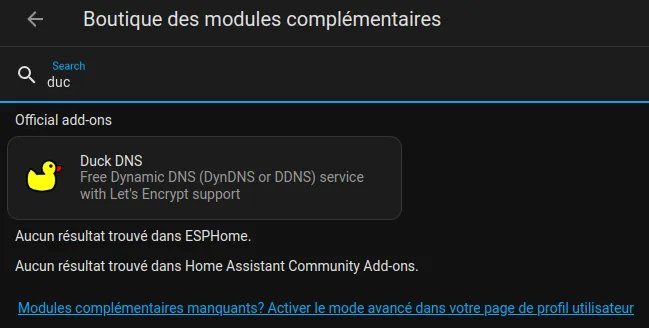 Add-on DuckDNS dans les modules complémentaires