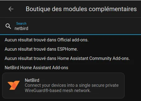 Add-on Netbird dans Home Assistant