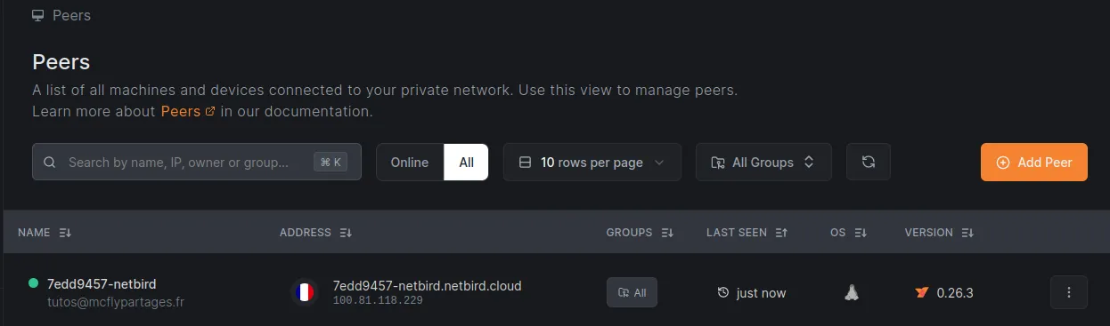 Vérification de l'ajout de Home Assistant au tableau de bord de NetBird